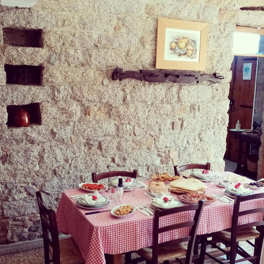Villa Antichi Sapori Da Speranza à Gavoi Extérieur photo